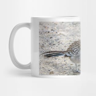 Great Roadrunner takes a Brief Pause Mug